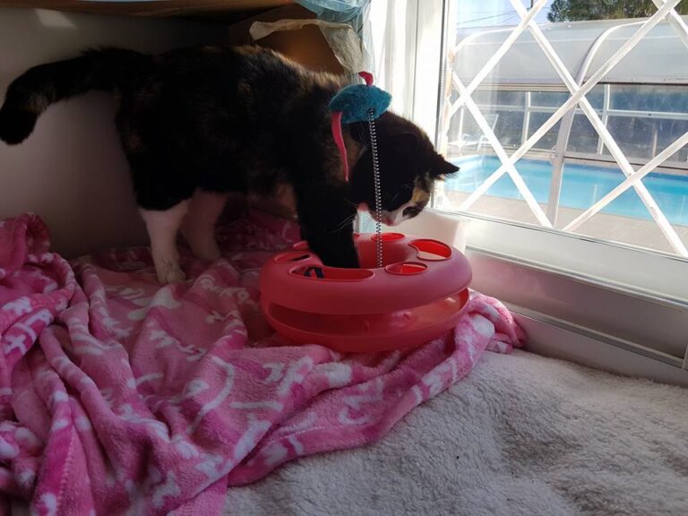 multimedia-foto44080-685-3