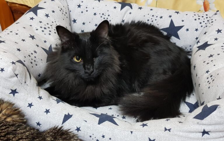 multimedia-foto44086-471-3