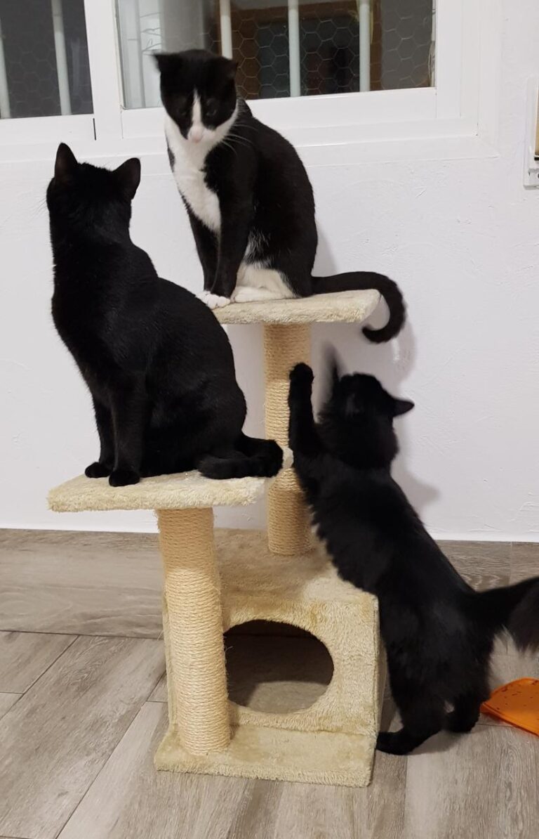 multimedia-foto44091-496-3