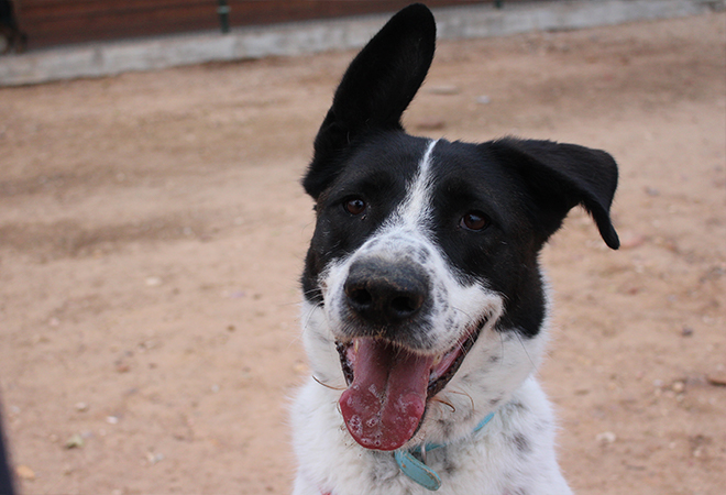 multimedia-foto44096-587-3