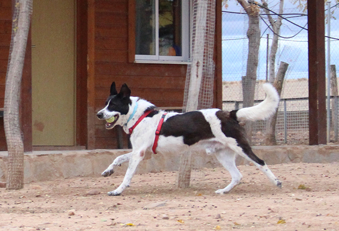 multimedia-foto44097-587-3