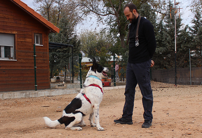 multimedia-foto44099-588-3