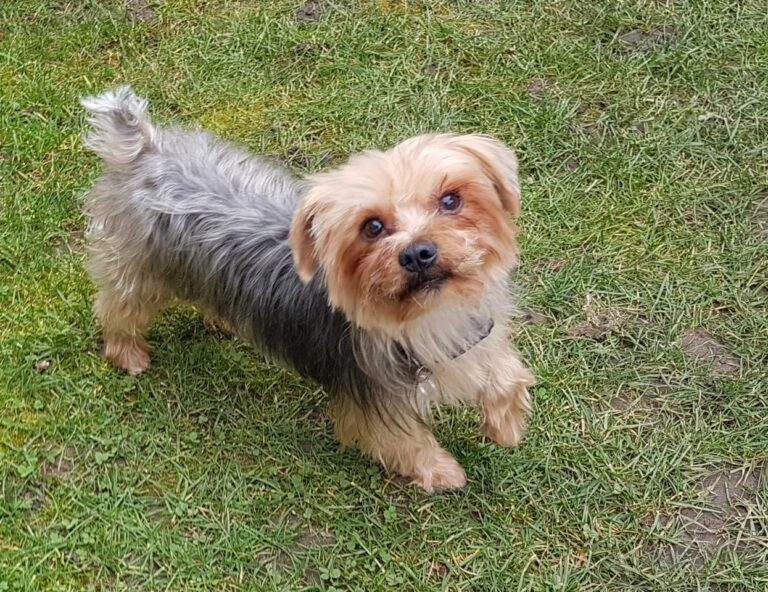 multimedia-foto44132-275-3