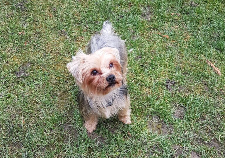 multimedia-foto44133-276-3