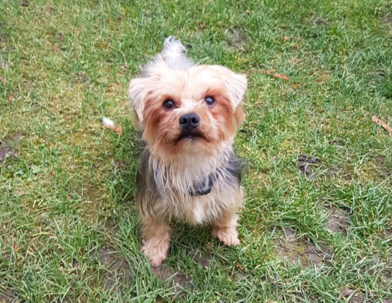 multimedia-foto44134-276-3