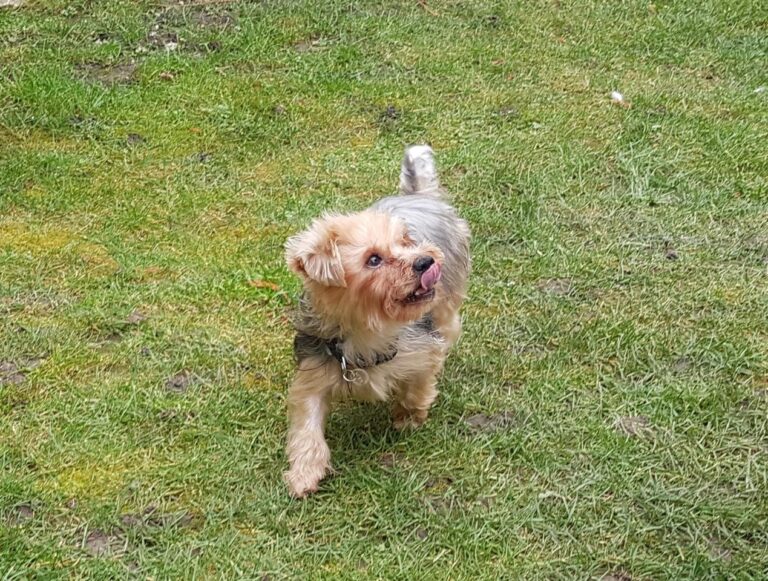 multimedia-foto44135-277-3