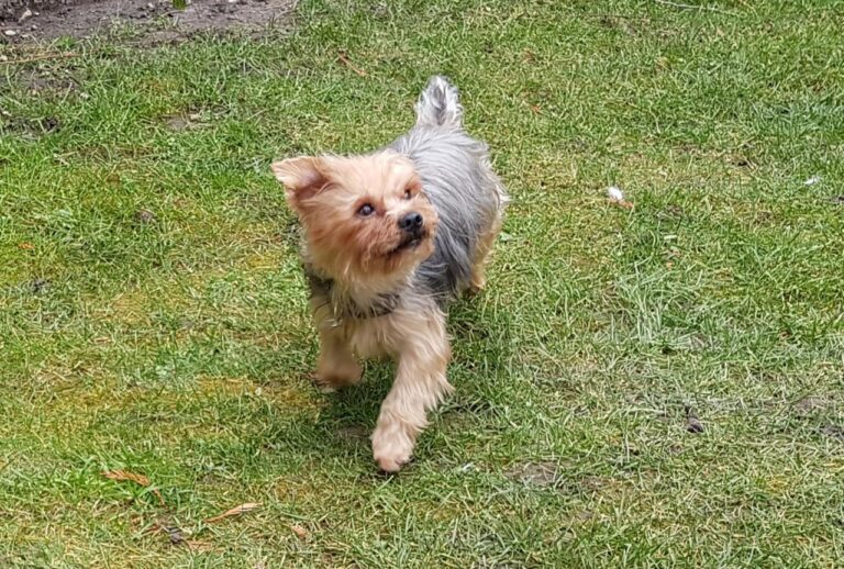 multimedia-foto44137-298-3