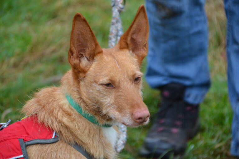 multimedia-foto44158-764-3