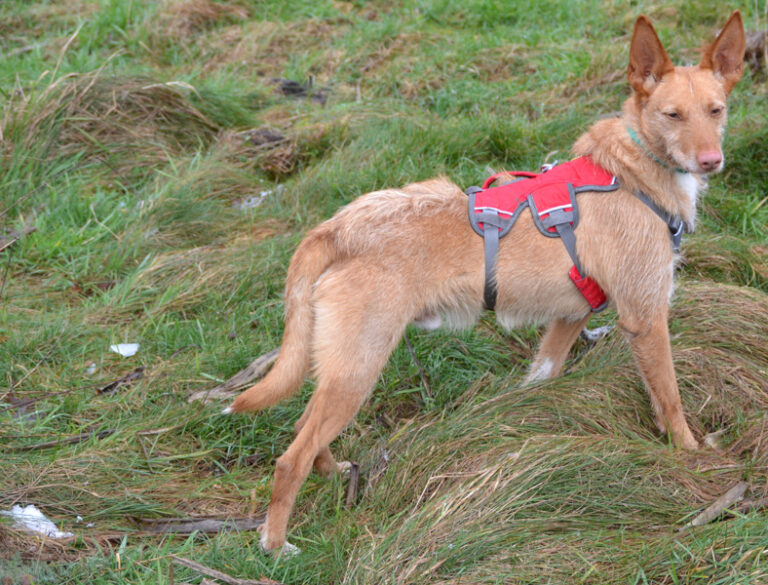 multimedia-foto44159-765-3