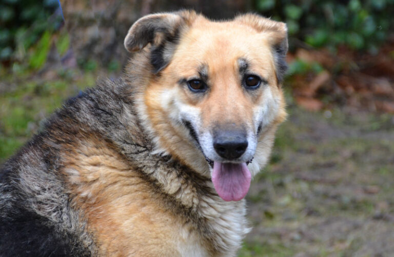 multimedia-foto44160-68-3