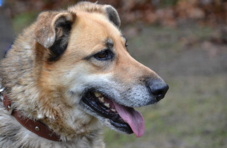 multimedia-foto44161-70-3