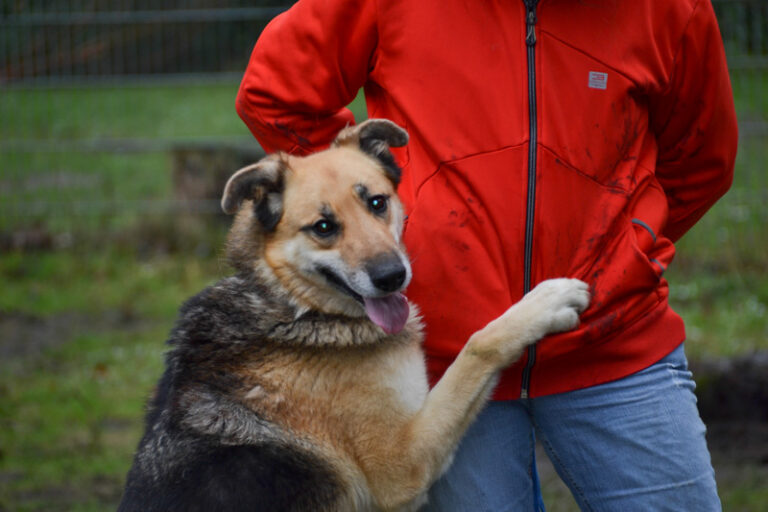 multimedia-foto44162-70-3