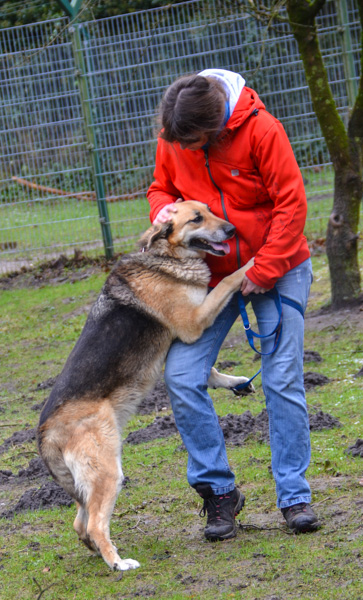 multimedia-foto44163-71-3