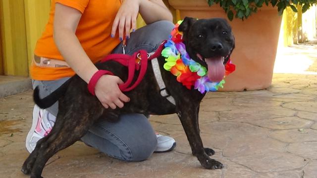 multimedia-foto44174-633-3