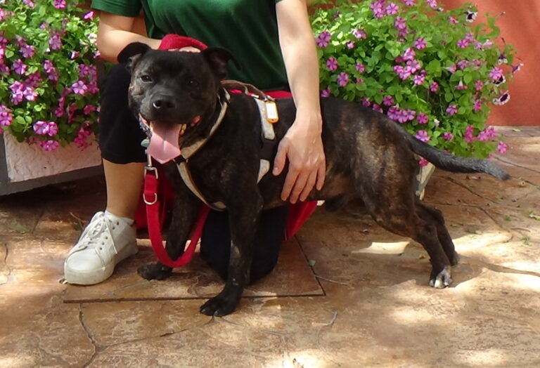 multimedia-foto44176-635-3