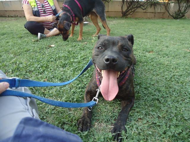 multimedia-foto44177-635-3