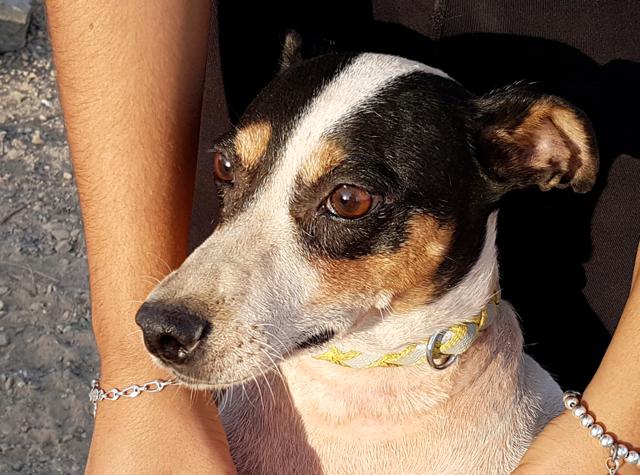 multimedia-foto44204-844-3