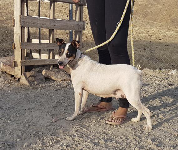 multimedia-foto44205-845-3