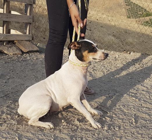 multimedia-foto44206-845-3