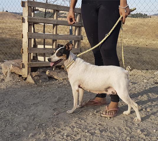 multimedia-foto44207-994-3