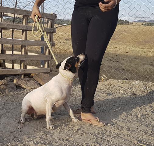 multimedia-foto44208-995-3