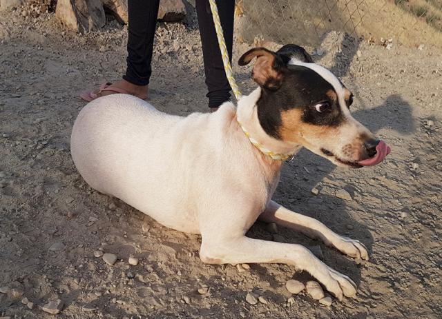 multimedia-foto44209-995-3