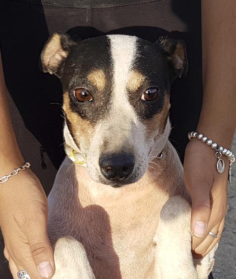 multimedia-foto44210-995-3