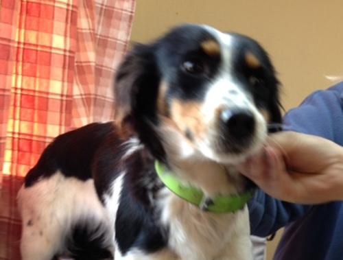 multimedia-foto44211-260-3