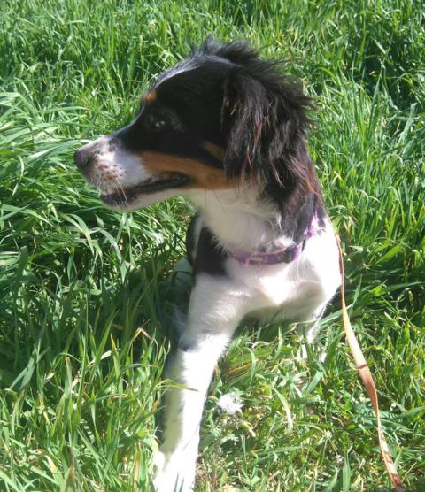 multimedia-foto44212-260-3