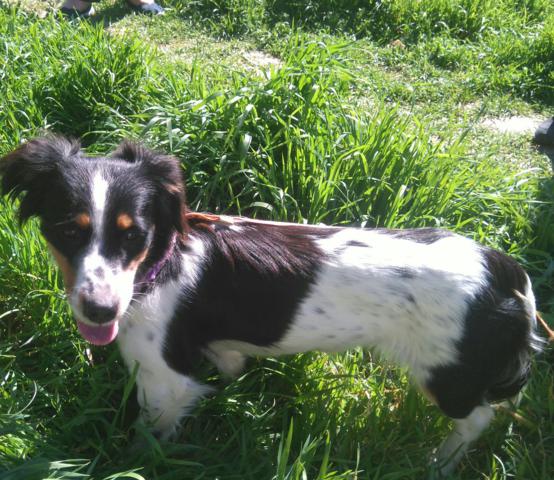 multimedia-foto44214-261-3