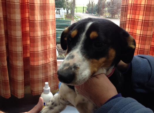 multimedia-foto44215-570-3