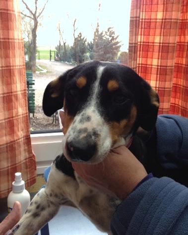 multimedia-foto44216-570-3