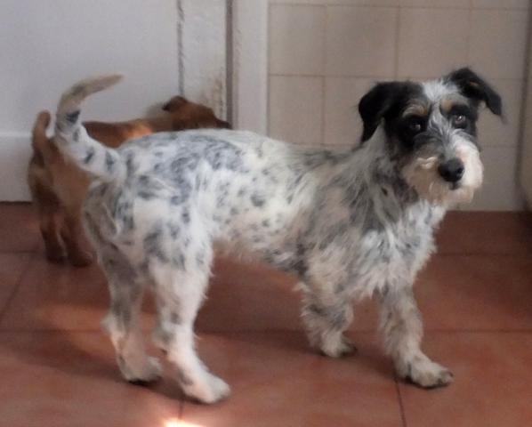 multimedia-foto44246-647-3