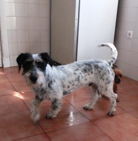 multimedia-foto44247-649-3