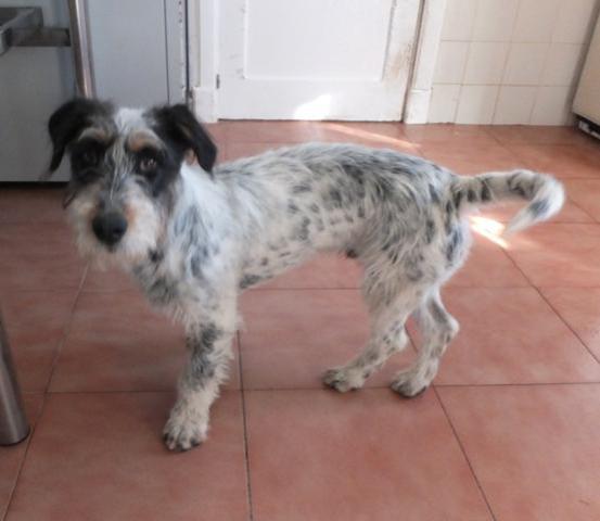 multimedia-foto44248-649-3