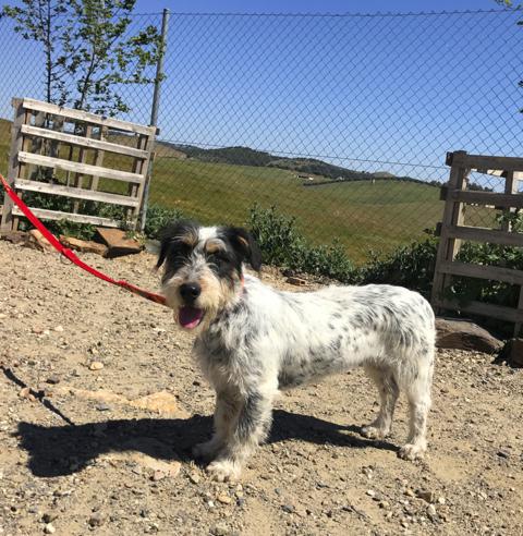 multimedia-foto44249-650-3