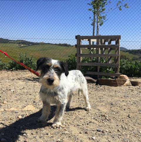 multimedia-foto44250-650-3