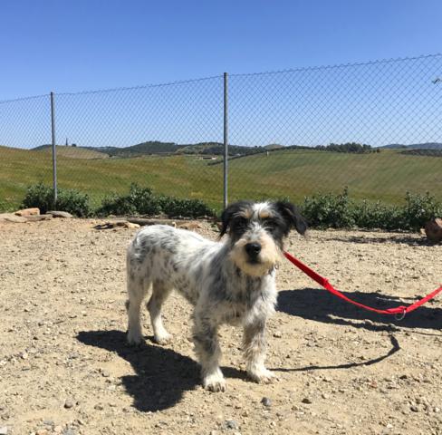 multimedia-foto44251-651-3