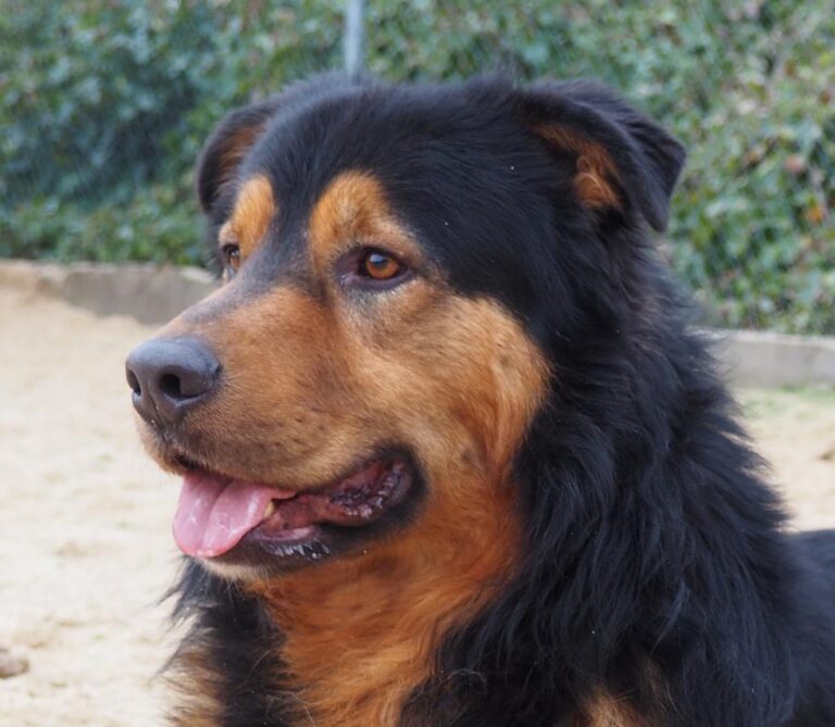 multimedia-foto44258-527-3