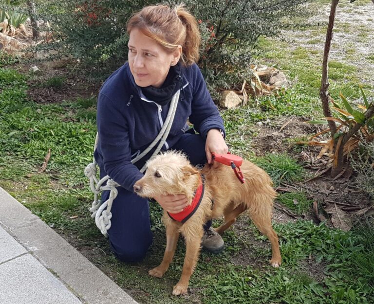 multimedia-foto44262-47-3