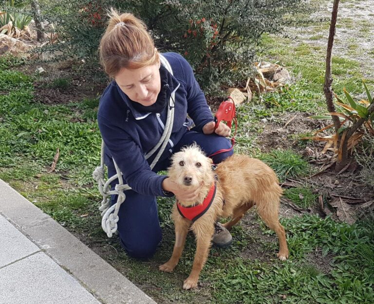 multimedia-foto44263-48-3