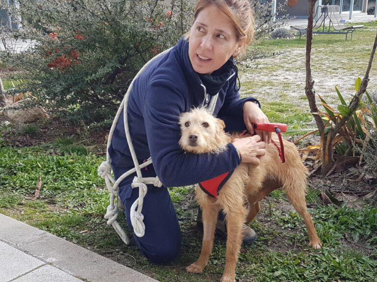 multimedia-foto44264-48-3