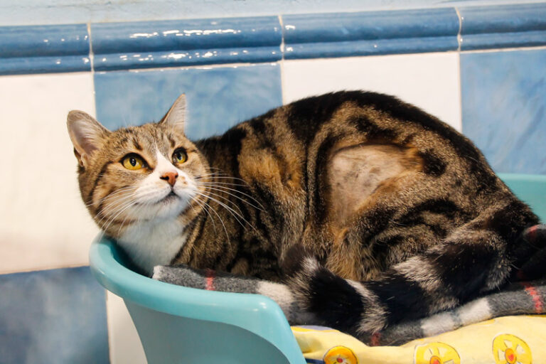 multimedia-foto44288-927-3