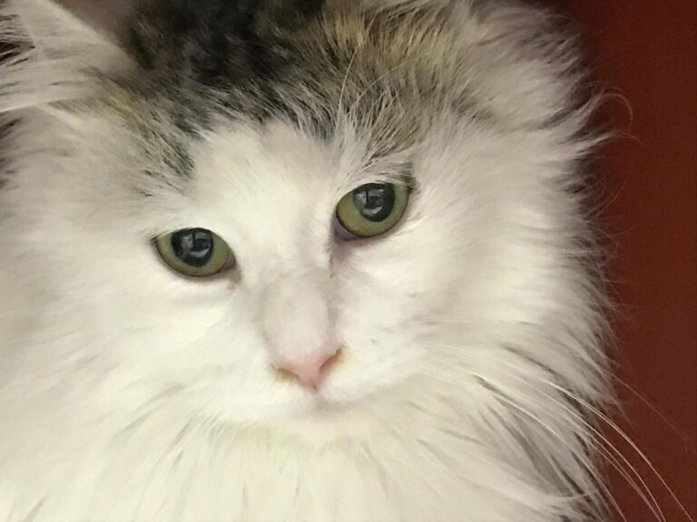 multimedia-foto44298-170-3