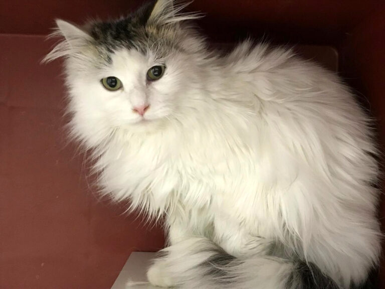 multimedia-foto44301-173-3