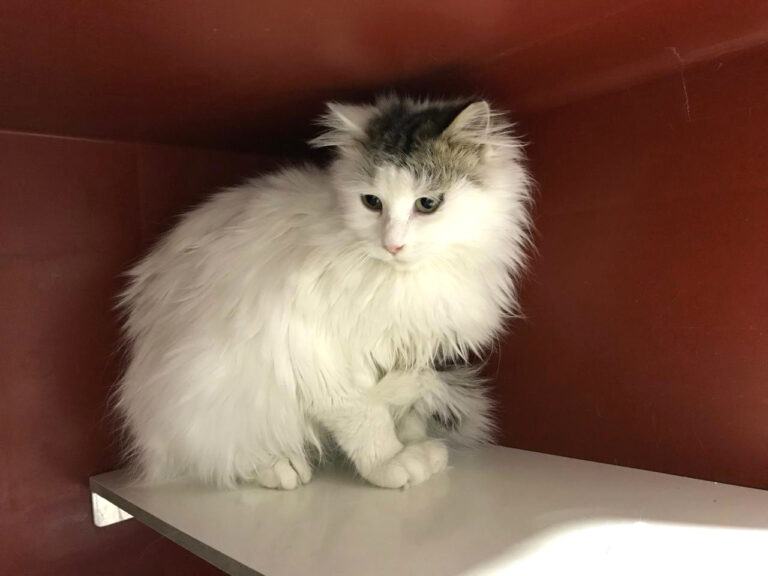 multimedia-foto44303-174-3