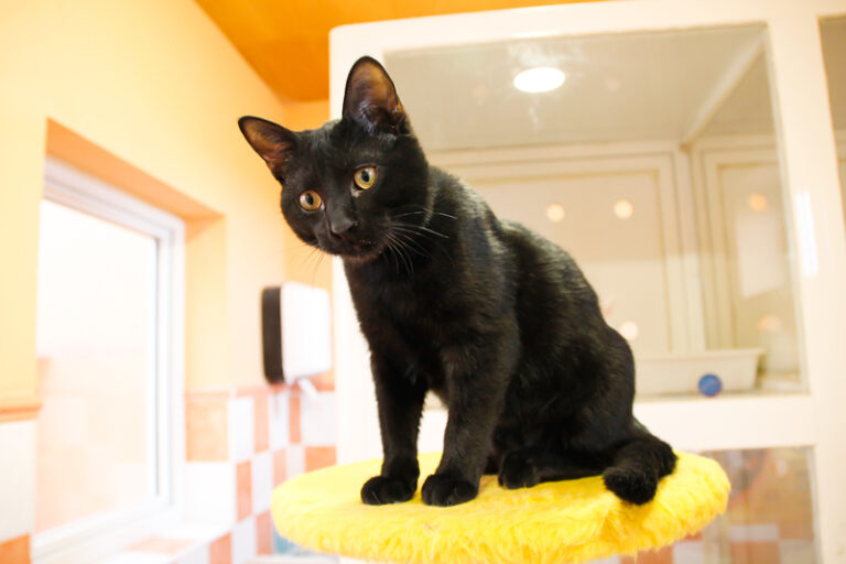 multimedia-foto44306-542-3