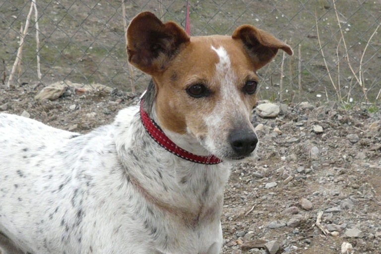 multimedia-foto44333-611-3