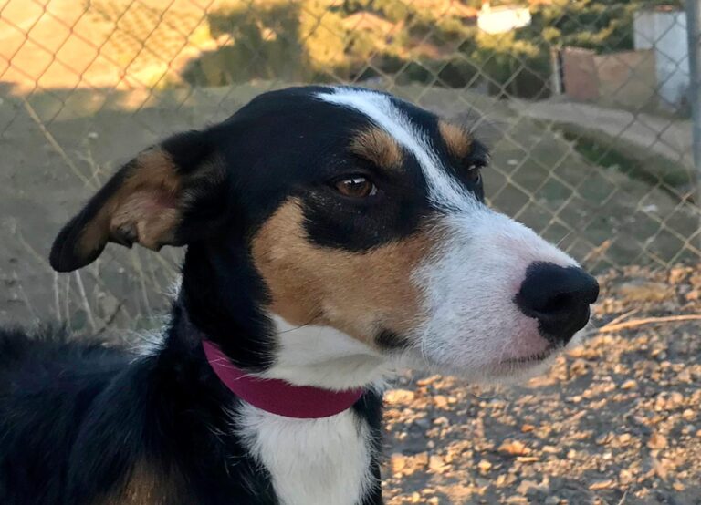 multimedia-foto44348-865-3