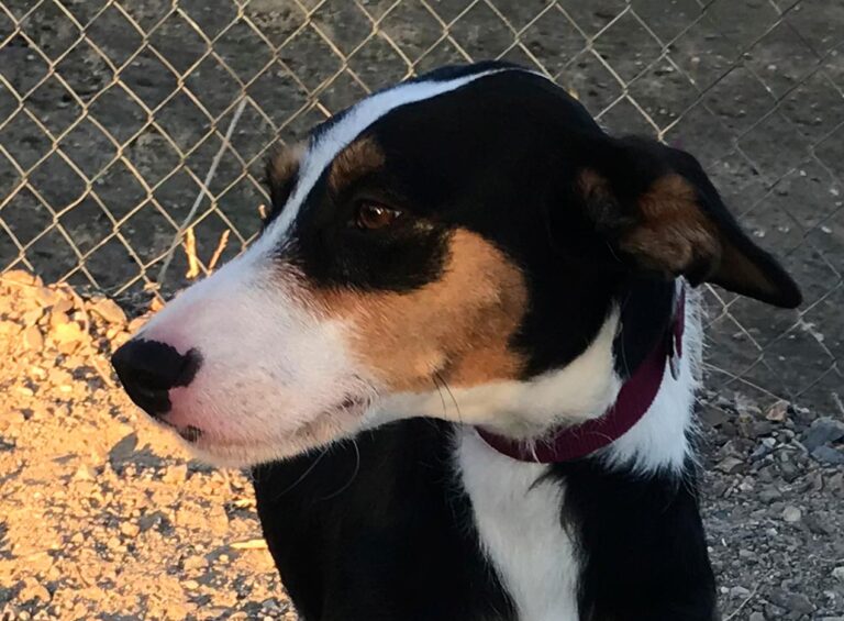 multimedia-foto44349-866-3